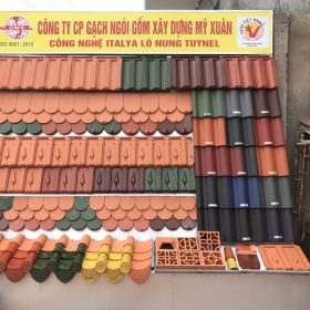 gia ngoi lop 10 vien My Xuan