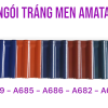 Xuất ngói tráng men amata A689 về Sadec Đồng Tháp - Hình ảnh 6
