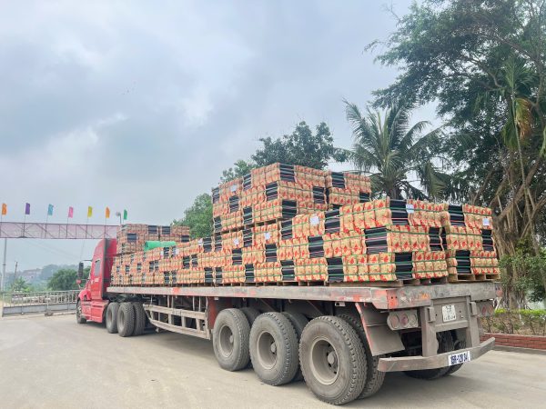 Ngói phẳng tráng men cao cấp Veles G – Mã HG01 (Xanh Tím Than) - Hình ảnh 3