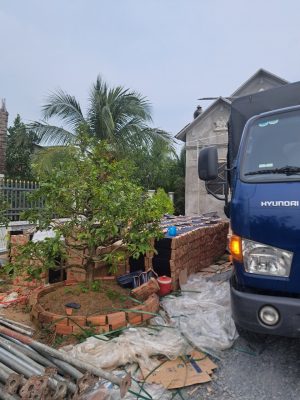 Ngói tráng men HELEN HL02 tại công trình Tháp Mười Đồng Tháp