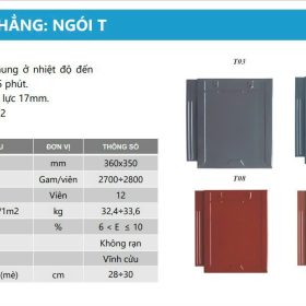 kich thuoc ngoi phang trang men