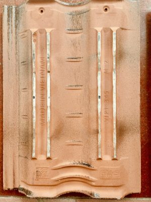 Mặt sau ngói tráng men cao cấp