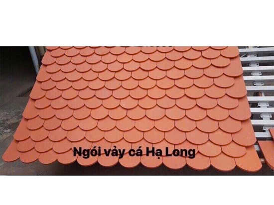 Ngói vảy cá